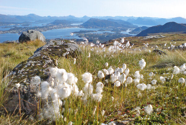 Sula - et sted i verden