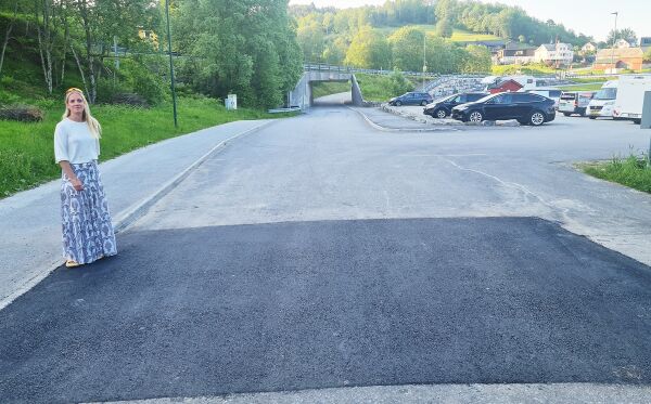 Fartshumpane er på plass