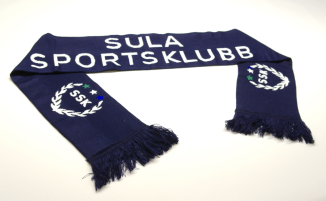 Gav Rollon skikkeleg motstand