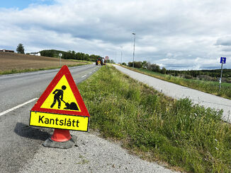 Slår graset og let blomar stå