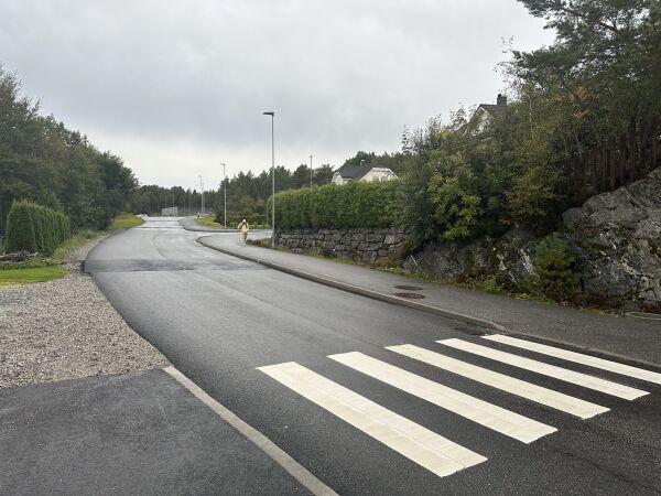 Humpane er på plass