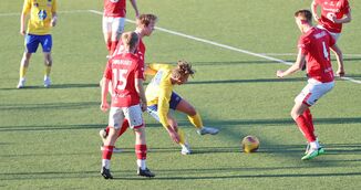Blomvik i målform