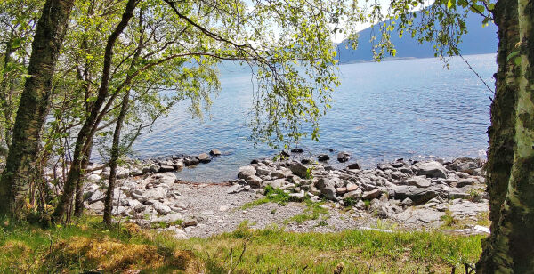 Bare en sommerflørt?