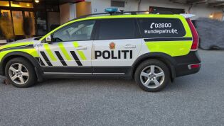 Såg ut som handvåpen