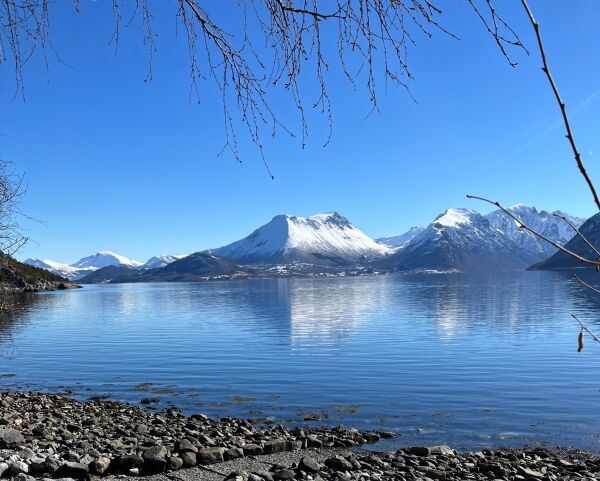 Seier nei til Måsøval