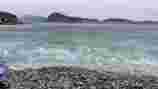 Ingunn 4