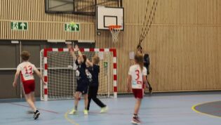 Minihandball