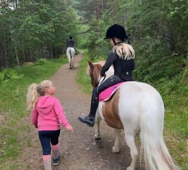 Hest på tur