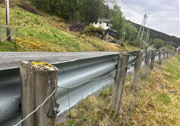 Tida for kantslått langs fylkesvegane