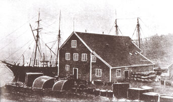 Hundre år med fiskemjøl og fiskeolje