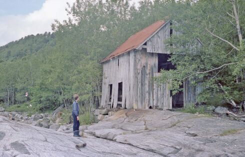 På gjengrodde stier...