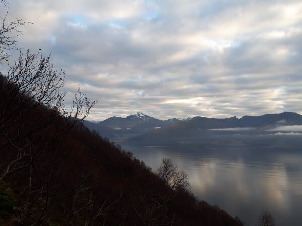 I skodde på Sulafjellet