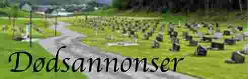 Annonse
