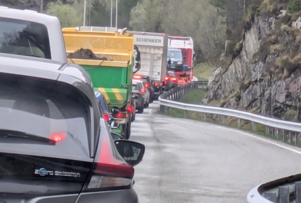 Vegen vidare for vegane våre