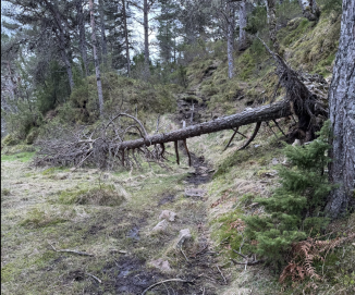 Må følge lovverket