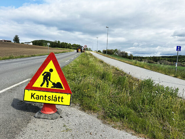 Slår graset og let blomar stå