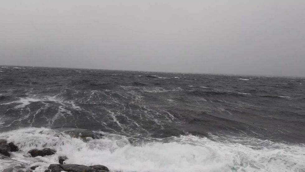 Ingunn 1